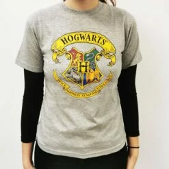 Harry Potter - T-shirt Gris Manches Courtes - Poudlard