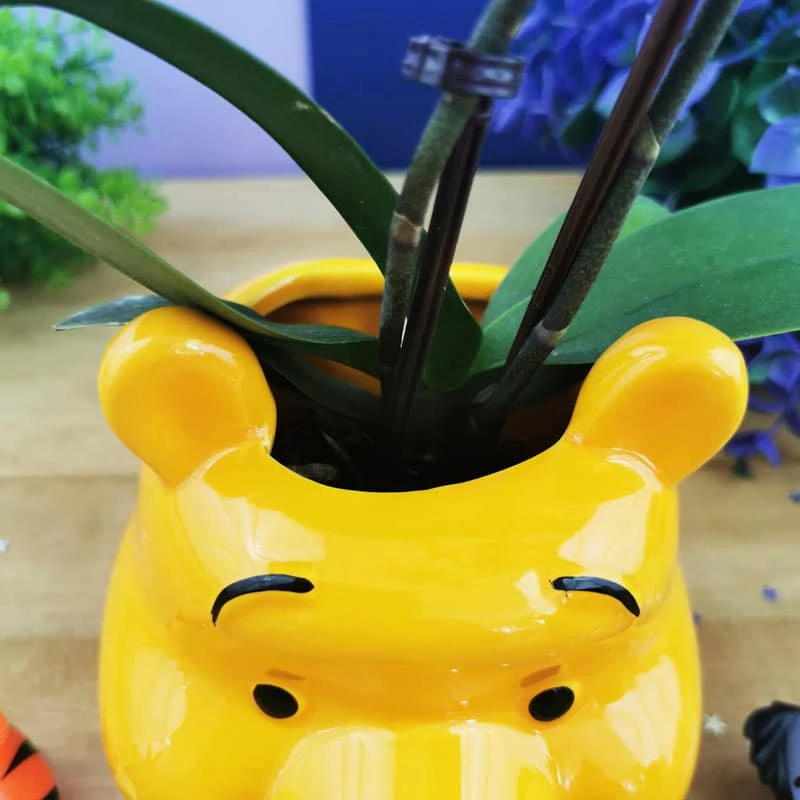 Disney - Pot De Fleurs Mural/Vase - Winnie L'ourson – Image 4